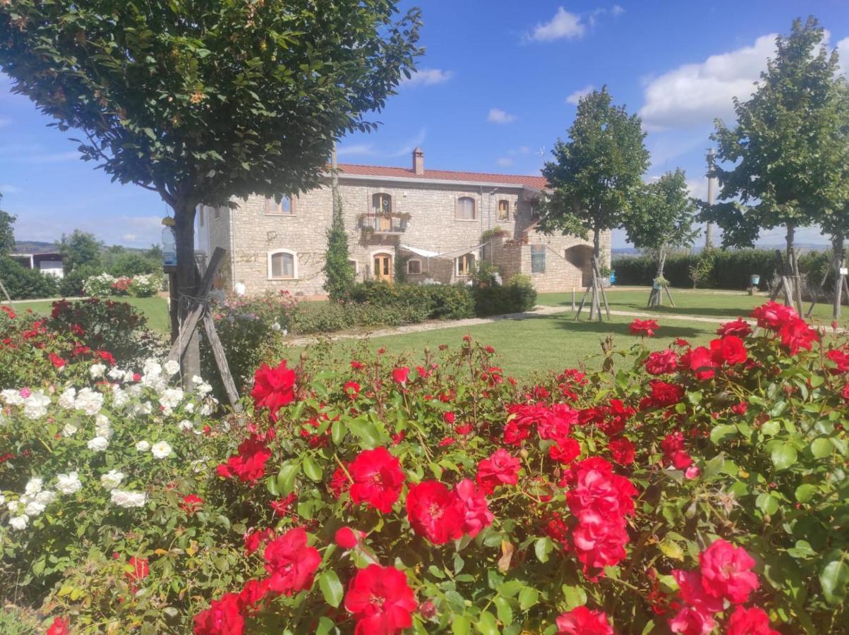 Masseria Fontana Dei Fieri Pietrelcina Dış mekan fotoğraf