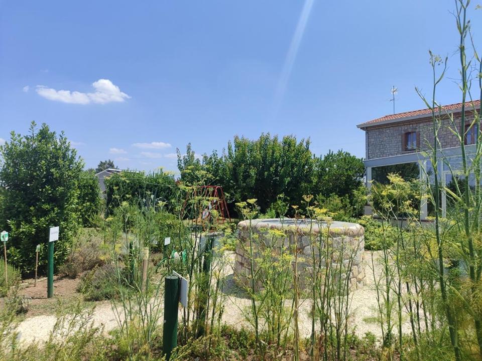 Masseria Fontana Dei Fieri Pietrelcina Dış mekan fotoğraf