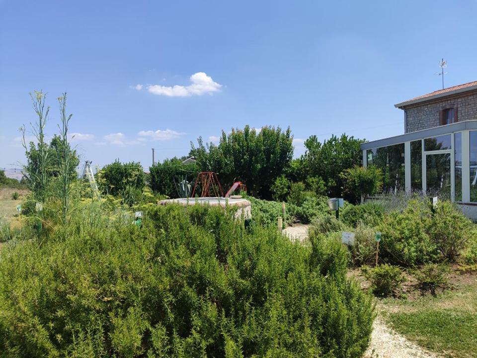 Masseria Fontana Dei Fieri Pietrelcina Dış mekan fotoğraf